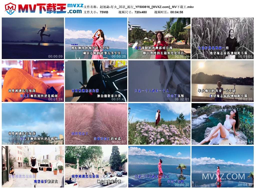 赵旭勐-灯火_国语_流行_YF500816